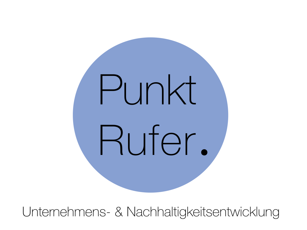 Punkt Rufer AG